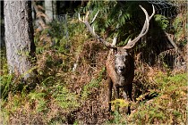 Boutissaint D500 17-10-09 0375   Photos ACG 2017