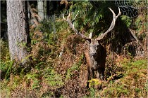 Boutissaint D500 17-10-09 0376   Photos ACG 2017