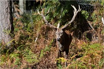 Boutissaint D500 17-10-09 0377   Photos ACG 2017