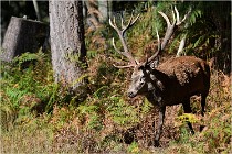 Boutissaint D500 17-10-09 0379   Photos ACG 2017