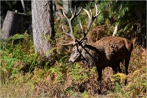 Boutissaint D500 17-10-09 0381   Photos ACG 2017