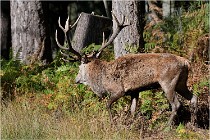 Boutissaint D500 17-10-09 0383   Photos ACG 2017