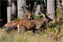 Boutissaint D500 17-10-09 0389   Photos ACG 2017