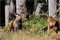 Boutissaint D500 17-10-09 0392   Photos ACG 2017