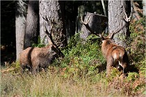 Boutissaint D500 17-10-09 0394   Photos ACG 2017