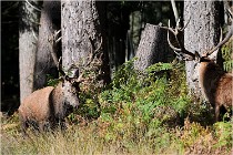 Boutissaint D500 17-10-09 0397   Photos ACG 2017