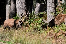 Boutissaint D500 17-10-09 0399   Photos ACG 2017