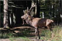 Boutissaint D500 17-10-09 0414   Photos ACG 2017