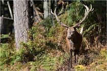 Boutissaint D500 17-10-09 0430   Photos ACG 2017