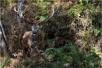 Boutissaint D500 17-10-09 0432   Photos ACG 2017