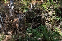 Boutissaint D500 17-10-09 0434   Photos ACG 2017