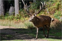 Boutissaint D500 17-10-09 0438   Photos ACG 2017