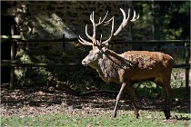 Boutissaint D500 17-10-09 0444   Photos ACG 2017