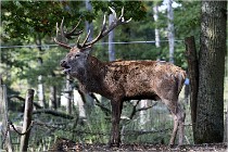 Boutissaint D500 17-10-09 0451   Photos ACG 2017