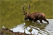 Boutissaint D500 17-10-09 0458   Photos ACG 2017