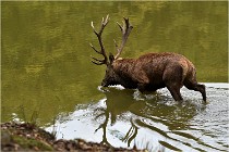 Boutissaint D500 17-10-09 0459   Photos ACG 2017