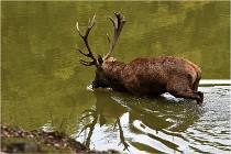 Boutissaint D500 17-10-09 0464   Photos ACG 2017