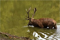 Boutissaint D500 17-10-09 0466   Photos ACG 2017