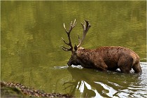 Boutissaint D500 17-10-09 0467   Photos ACG 2017