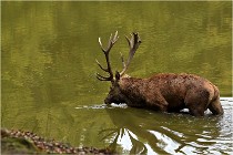 Boutissaint D500 17-10-09 0468   Photos ACG 2017