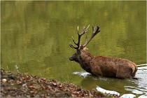 Boutissaint D500 17-10-09 0469   Photos ACG 2017