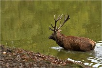 Boutissaint D500 17-10-09 0470   Photos ACG 2017