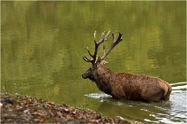 Boutissaint D500 17-10-09 0471   Photos ACG 2017