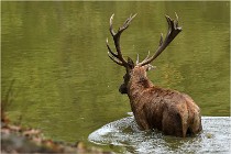 Boutissaint D500 17-10-09 0472   Photos ACG 2017