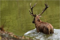 Boutissaint D500 17-10-09 0473   Photos ACG 2017