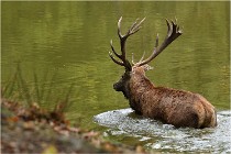 Boutissaint D500 17-10-09 0476   Photos ACG 2017