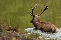 Boutissaint D500 17-10-09 0477   Photos ACG 2017