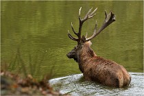 Boutissaint D500 17-10-09 0478   Photos ACG 2017