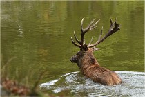 Boutissaint D500 17-10-09 0482   Photos ACG 2017