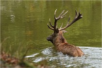 Boutissaint D500 17-10-09 0483   Photos ACG 2017