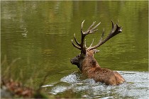 Boutissaint D500 17-10-09 0484   Photos ACG 2017