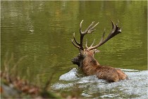 Boutissaint D500 17-10-09 0486   Photos ACG 2017