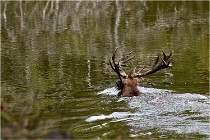 Boutissaint D500 17-10-09 0488   Photos ACG 2017