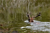 Boutissaint D500 17-10-09 0489   Photos ACG 2017