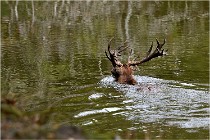 Boutissaint D500 17-10-09 0492   Photos ACG 2017