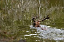 Boutissaint D500 17-10-09 0494   Photos ACG 2017