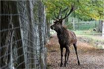 Boutissaint D500 17-10-09 0499   Photos ACG 2017