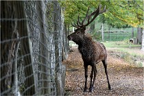 Boutissaint D500 17-10-09 0500   Photos ACG 2017