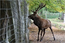 Boutissaint D500 17-10-09 0501   Photos ACG 2017