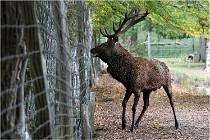 Boutissaint D500 17-10-09 0502   Photos ACG 2017