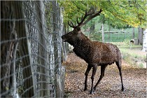 Boutissaint D500 17-10-09 0503   Photos ACG 2017