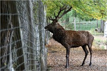 Boutissaint D500 17-10-09 0504   Photos ACG 2017