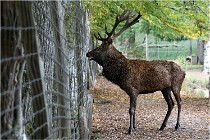 Boutissaint D500 17-10-09 0505   Photos ACG 2017