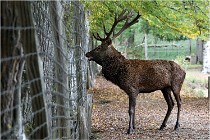 Boutissaint D500 17-10-09 0506   Photos ACG 2017