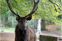 Boutissaint D500 17-10-09 0507   Photos ACG 2017