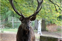 Boutissaint D500 17-10-09 0508   Photos ACG 2017